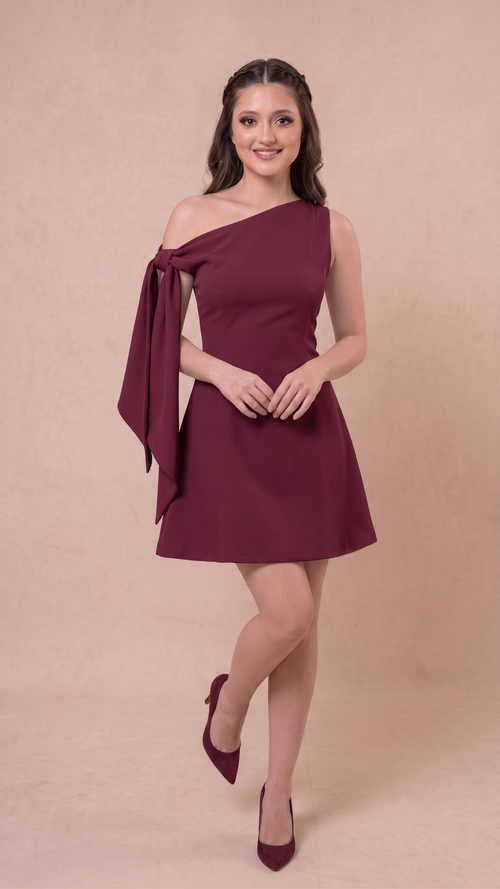 Wine Elegance Tie-Up Mini Dress